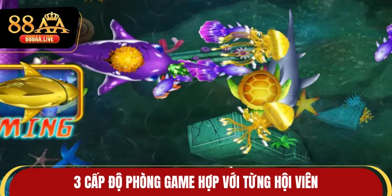 3 cấp độ phòng game hợp với từng hội viên