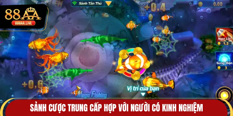 Sảnh cược trung cấp hợp với người có kinh nghiệm